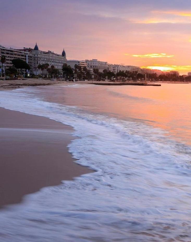Superbe Studio Proche Palais Et Plages A Pieds Cannes Ngoại thất bức ảnh