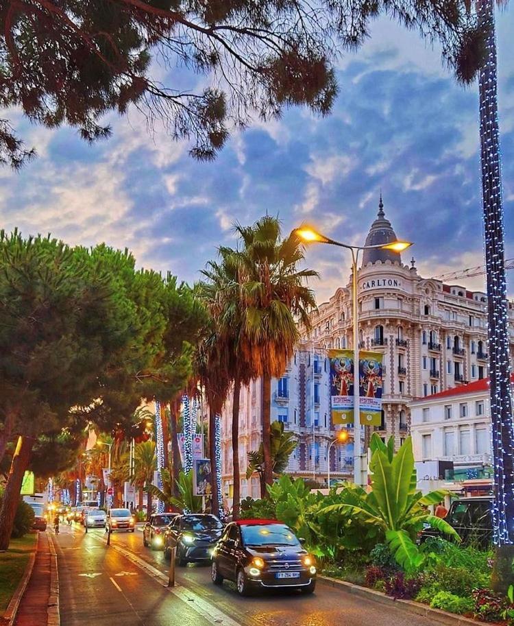 Superbe Studio Proche Palais Et Plages A Pieds Cannes Ngoại thất bức ảnh